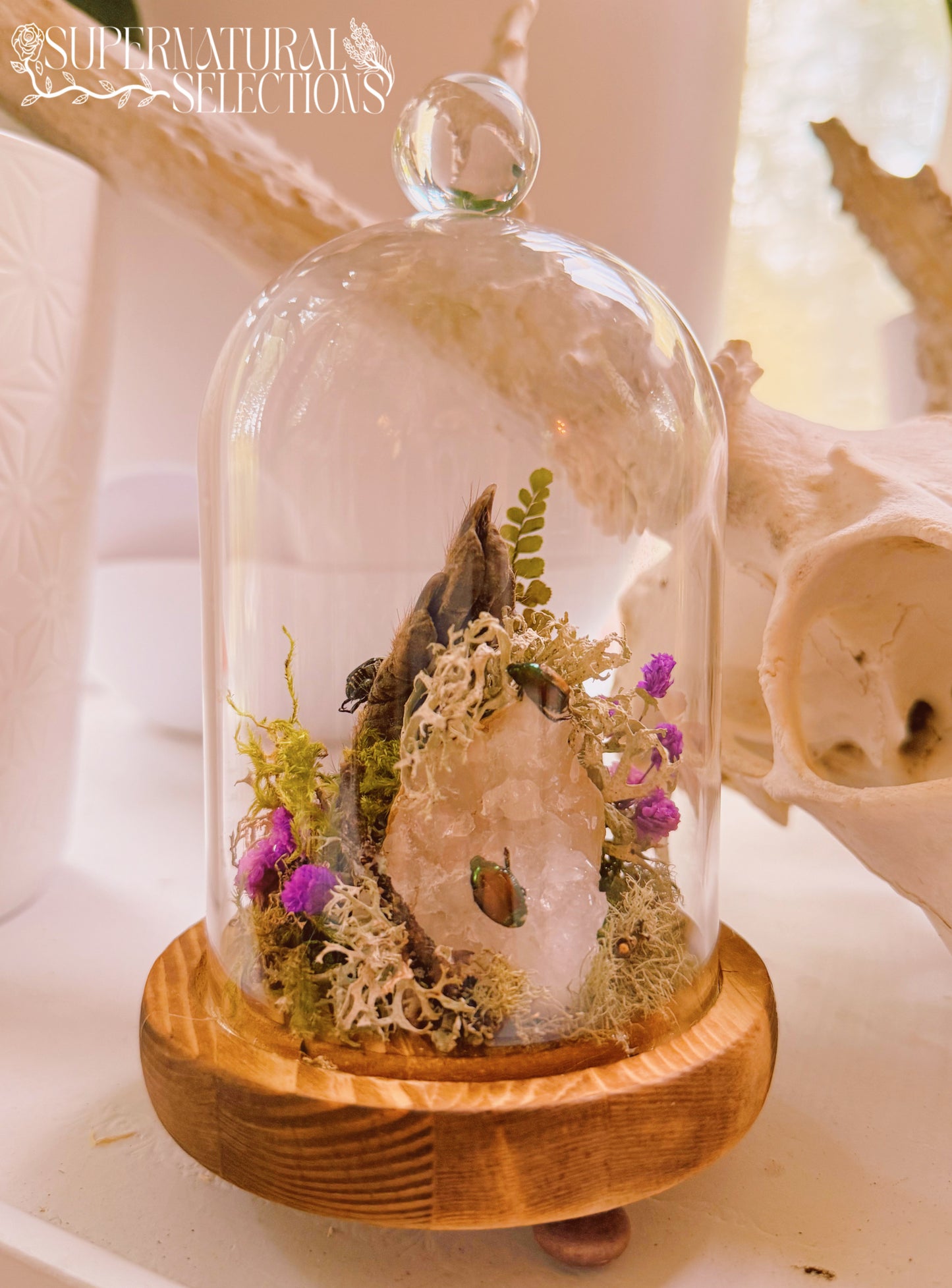 Woodland Reverie Cloche