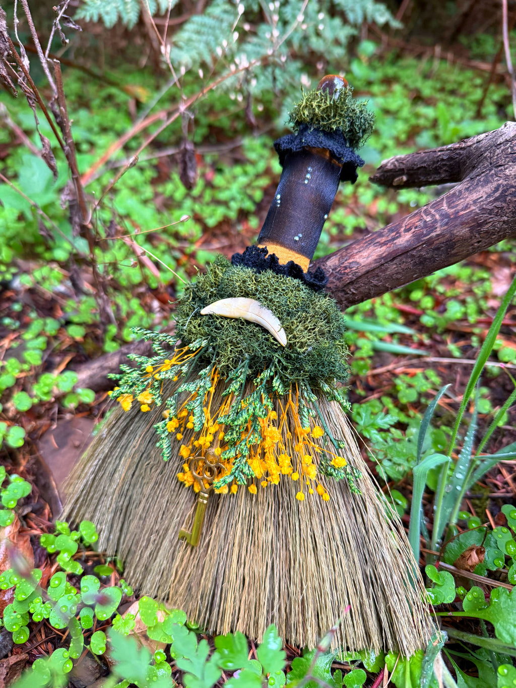 🗝️ Coyote Pathway Besom 🗝️