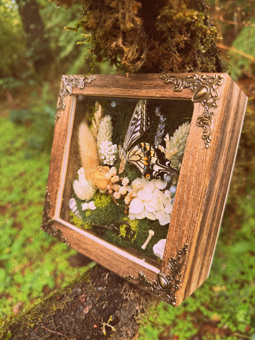 “Whispers of the Key” Botanical Shadow Box