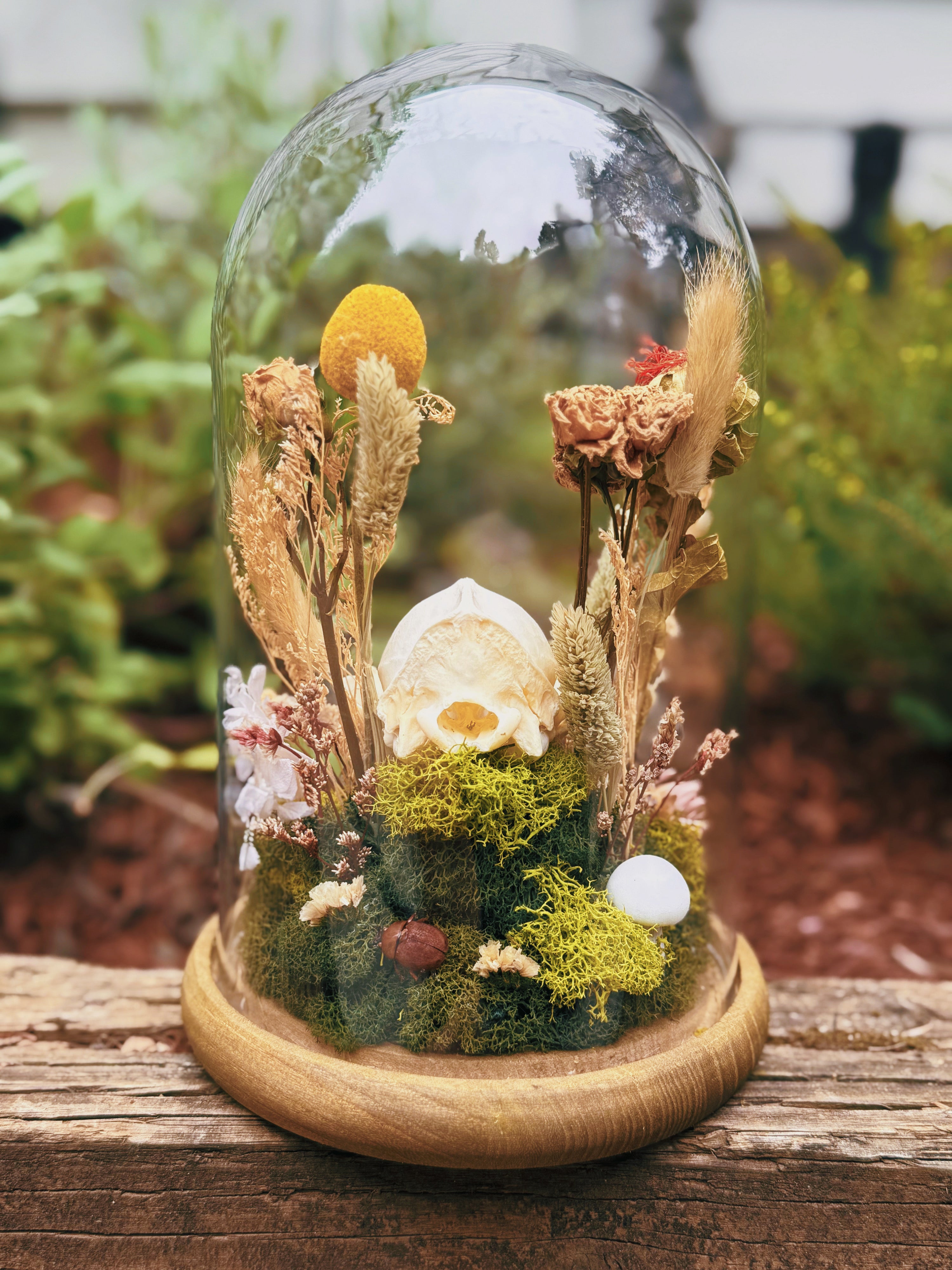 The Fox Skull & Scarab Elegy Terrarium
