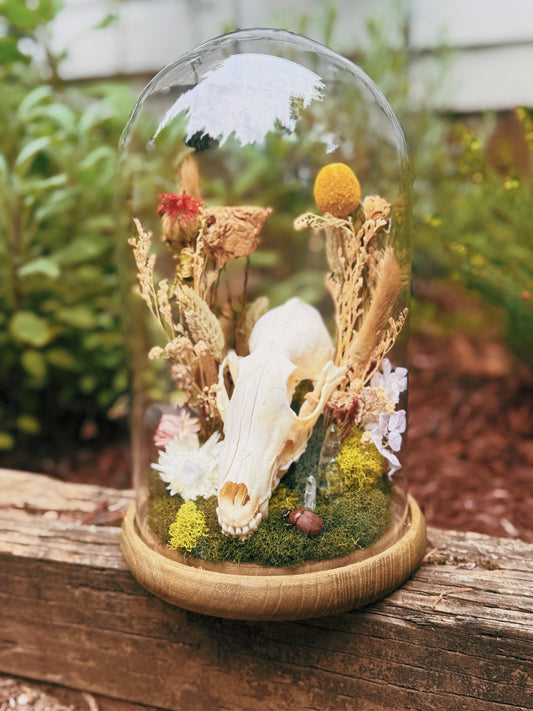 The Fox Skull & Scarab Elegy Terrarium