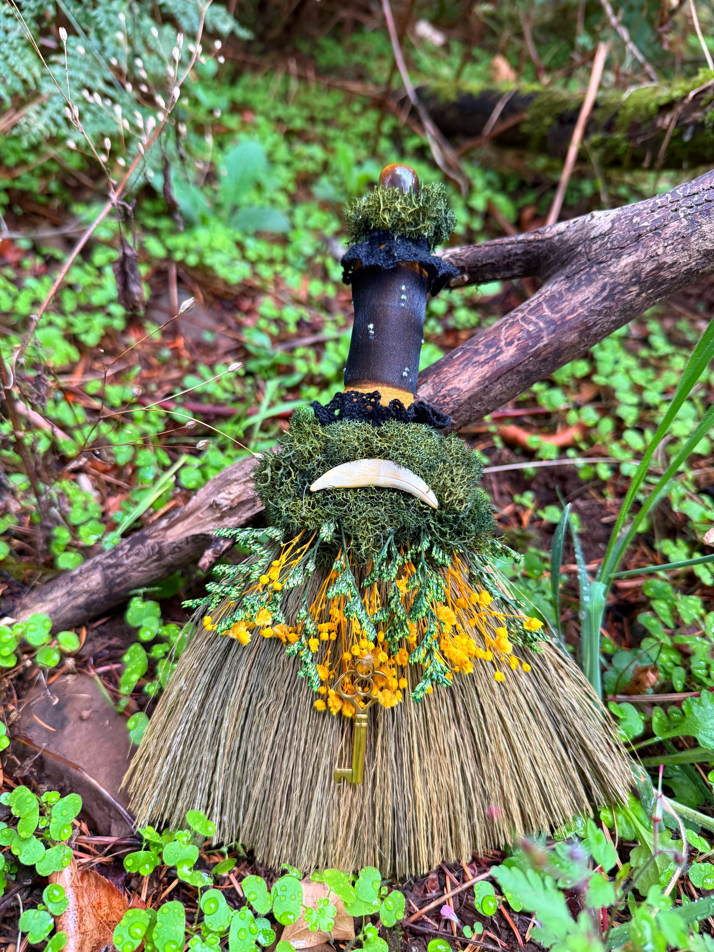 🗝️ Coyote Pathway Besom 🗝️