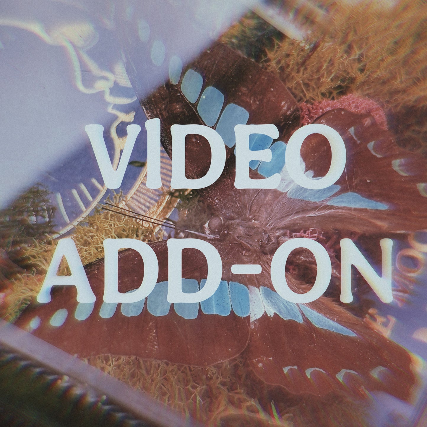 TikTok Video Add on
