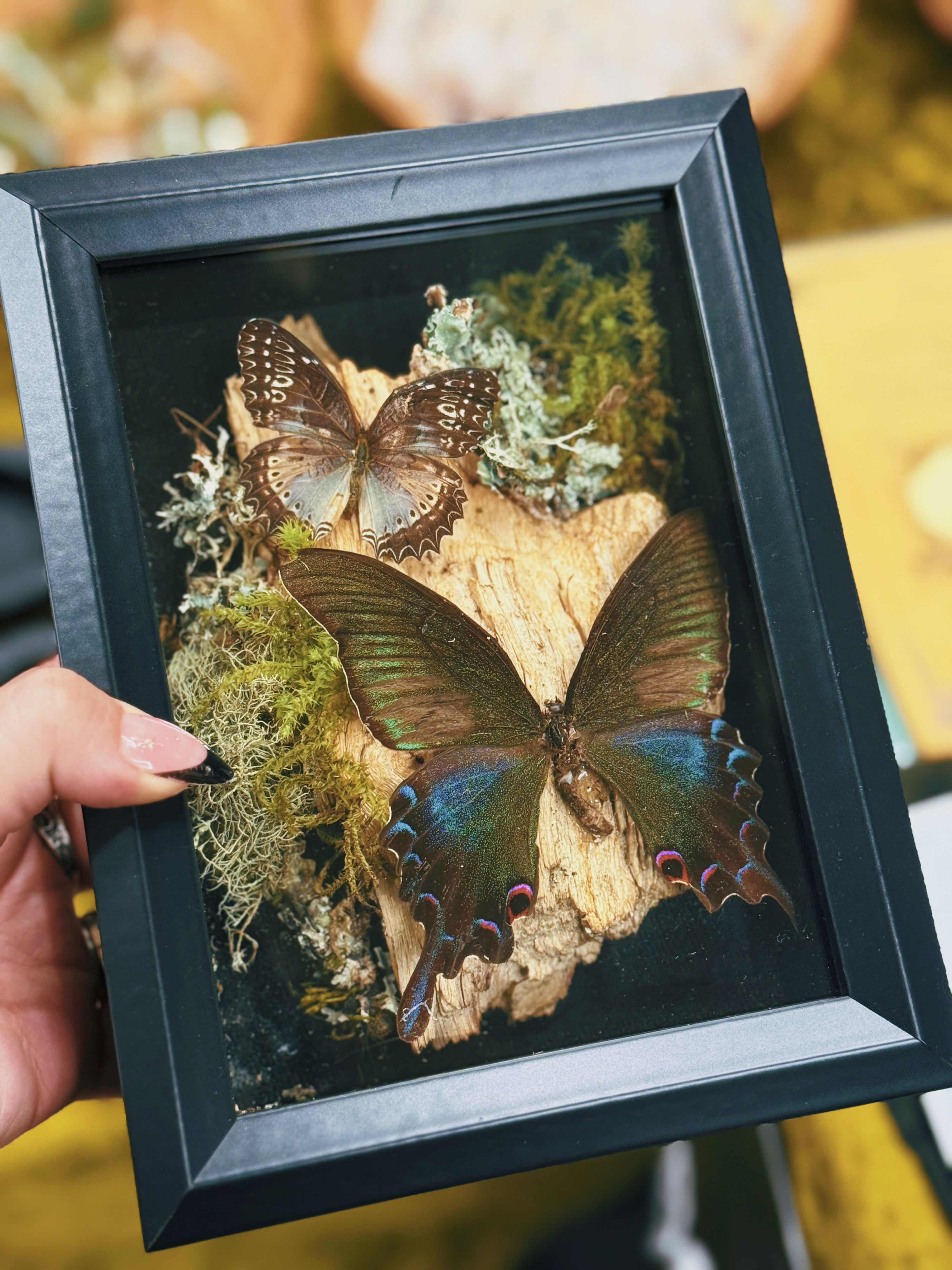 “Wings of Dusk & Bloom”