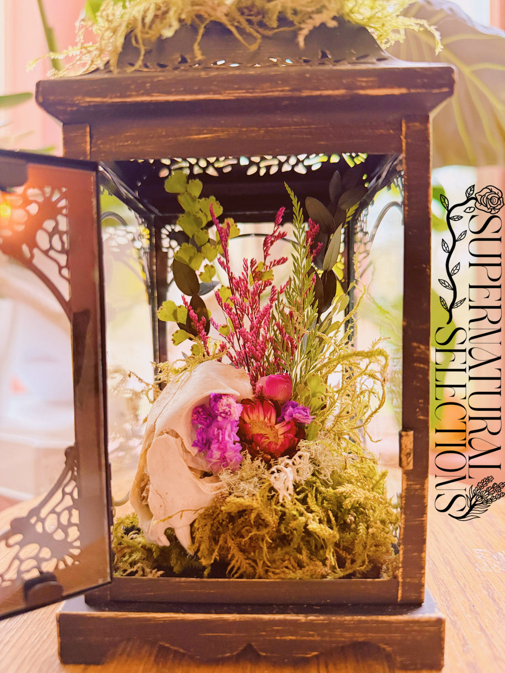 “The Familiar's Rest” Barn cat Skull