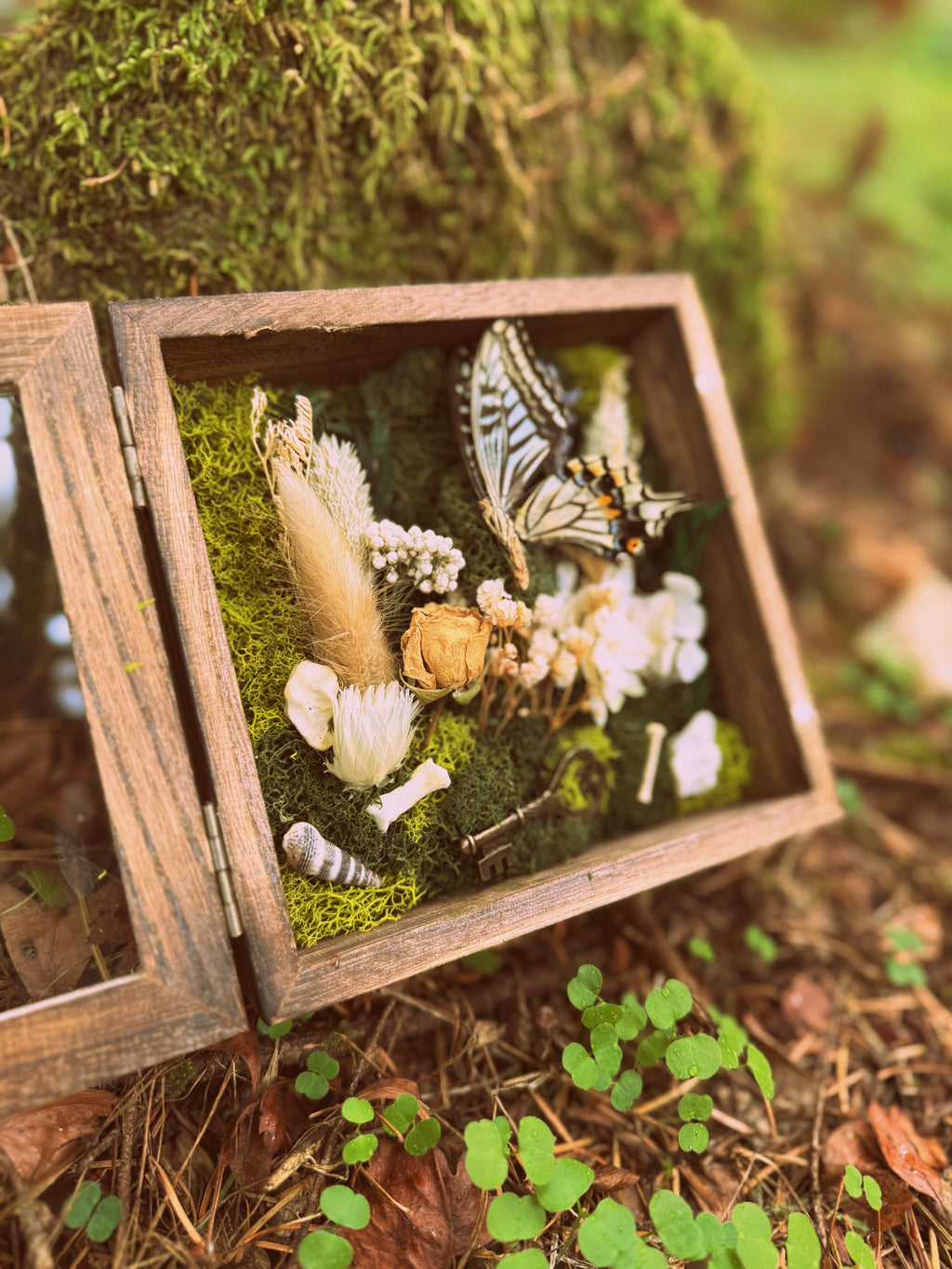 “Whispers of the Key” Botanical Shadow Box