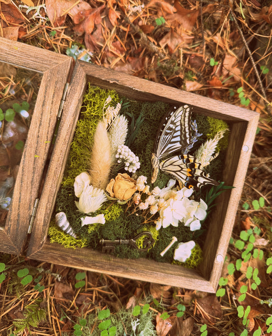 “Whispers of the Key” Botanical Shadow Box