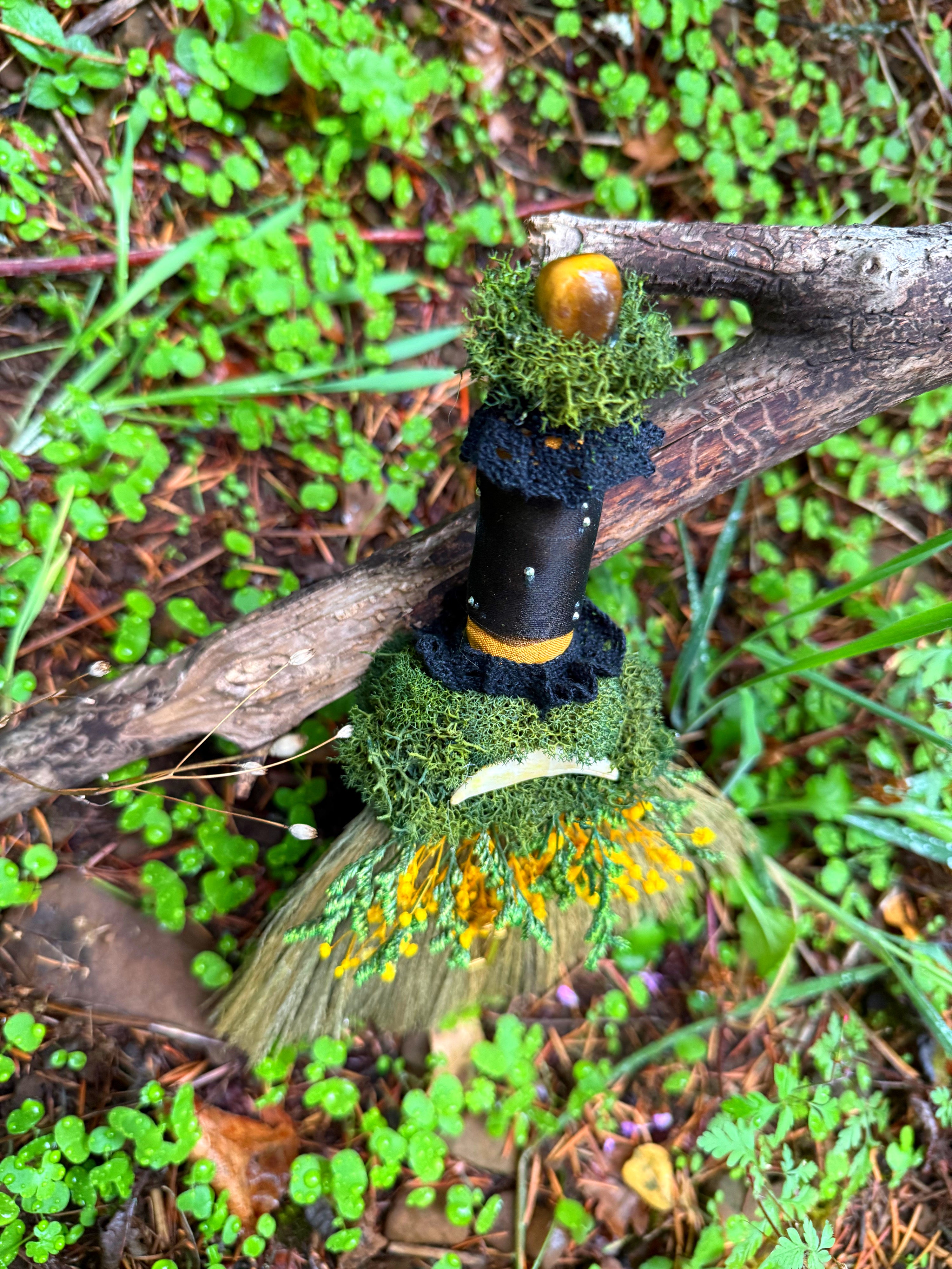 🗝️ Coyote Pathway Besom 🗝️