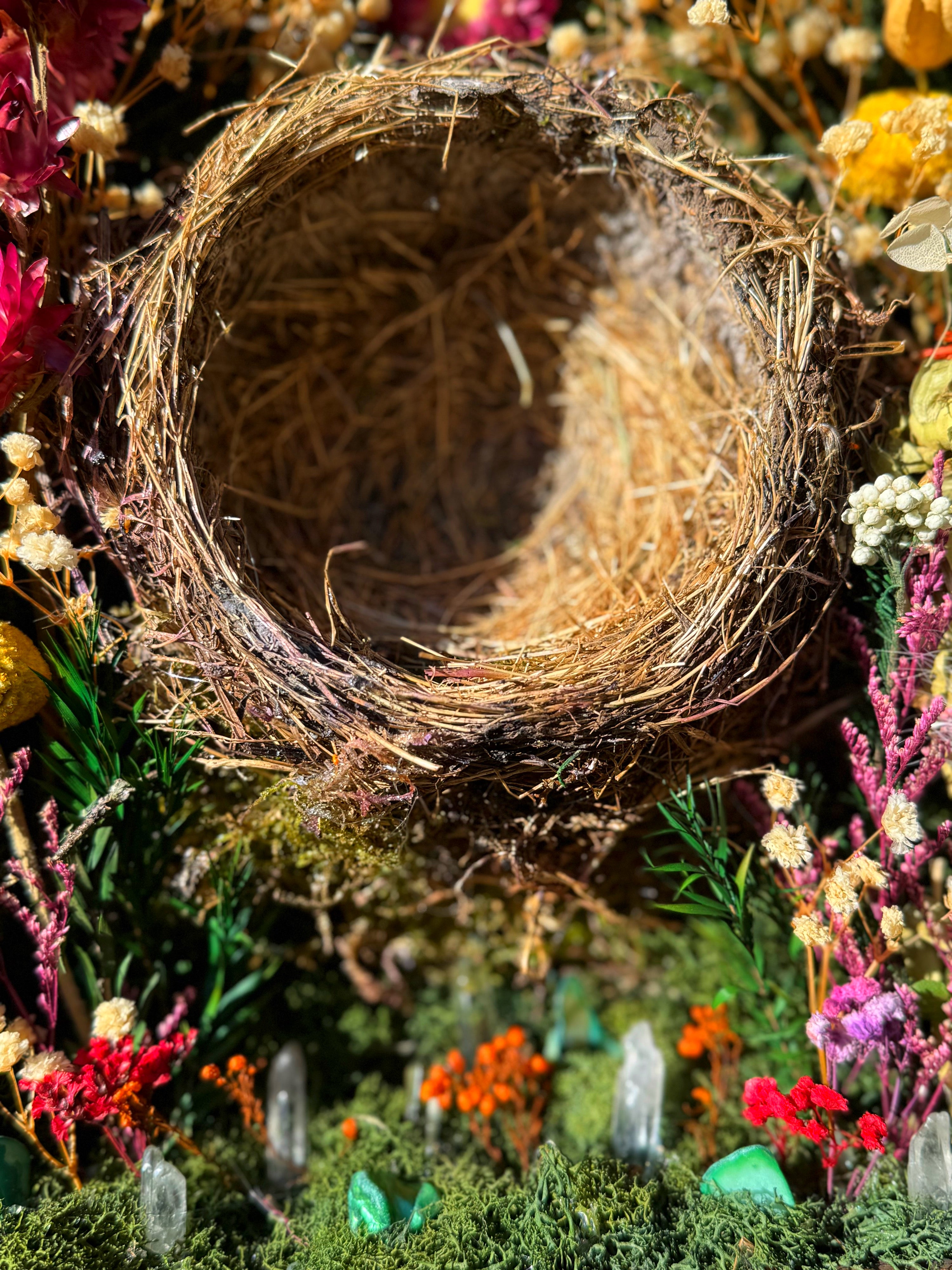 "Sanctuary of the Songbird" Shadowbox
