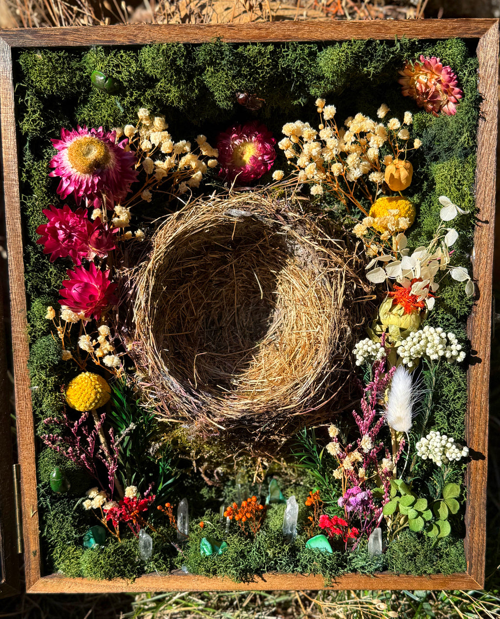 "Sanctuary of the Songbird" Shadowbox