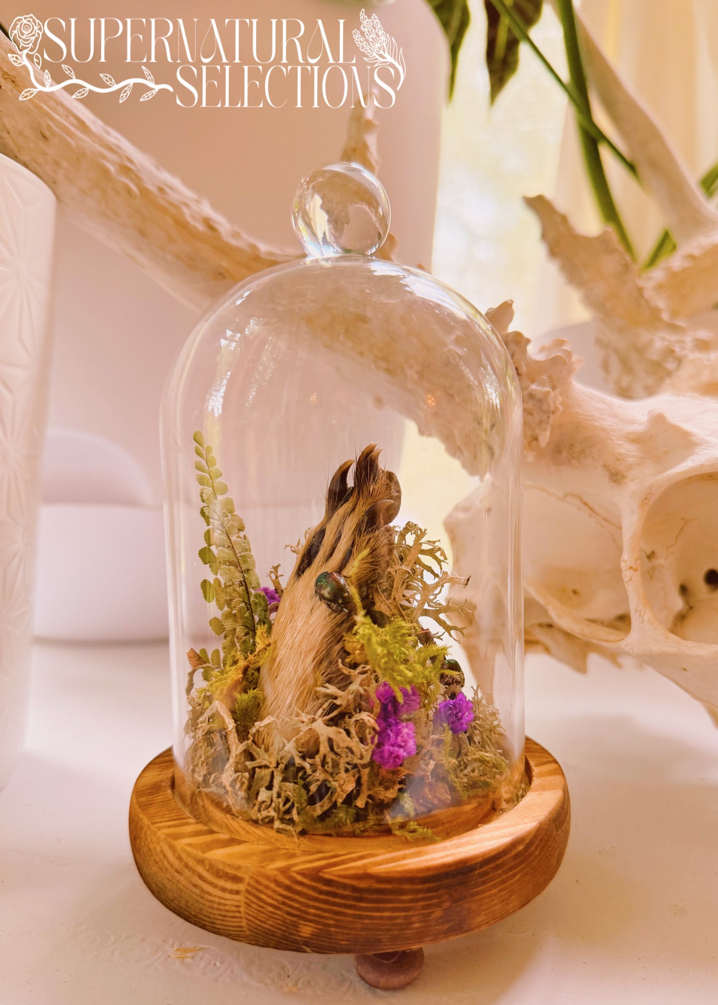 Woodland Reverie Cloche