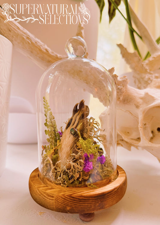 Woodland Reverie Cloche