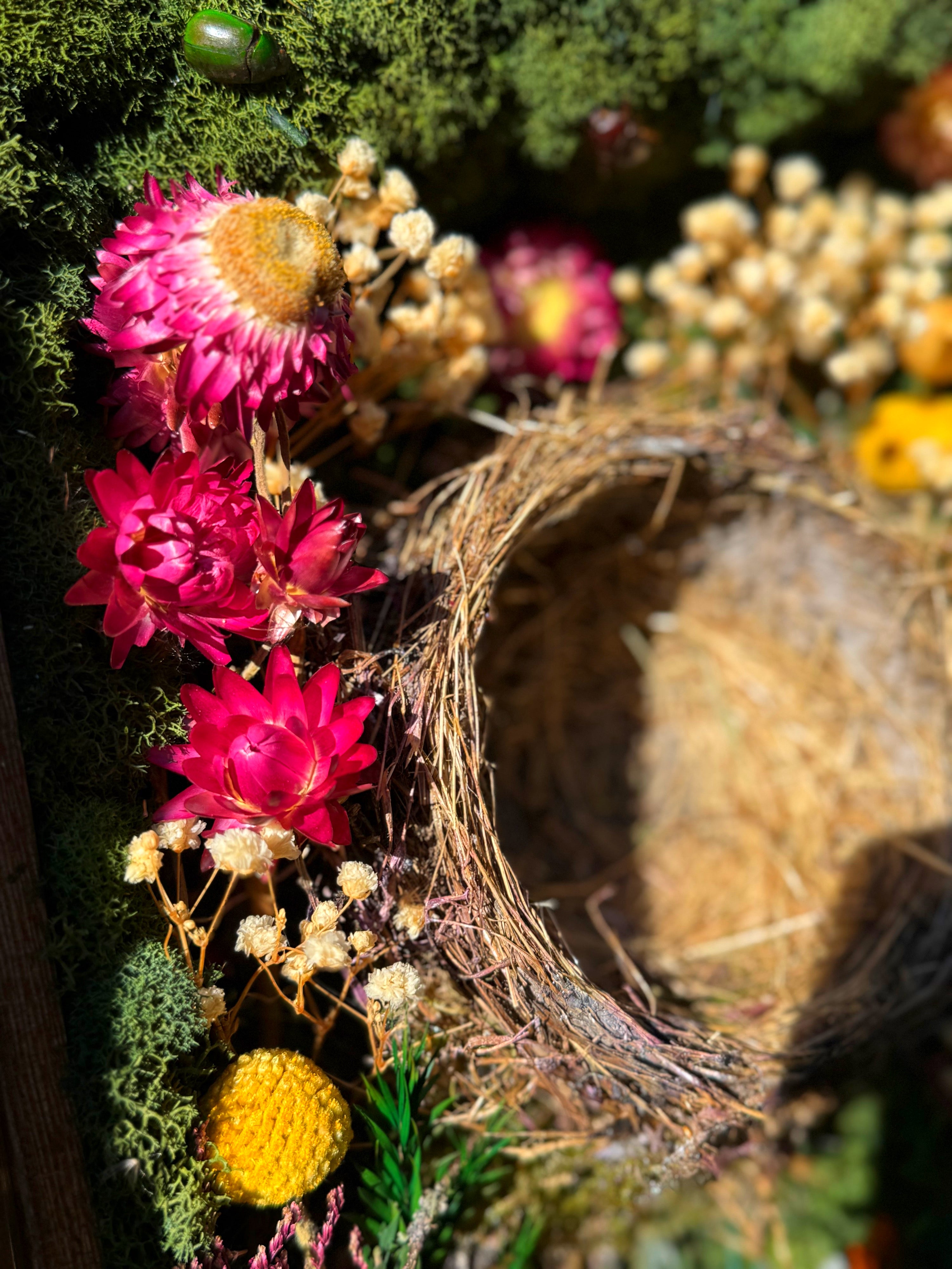 "Sanctuary of the Songbird" Shadowbox
