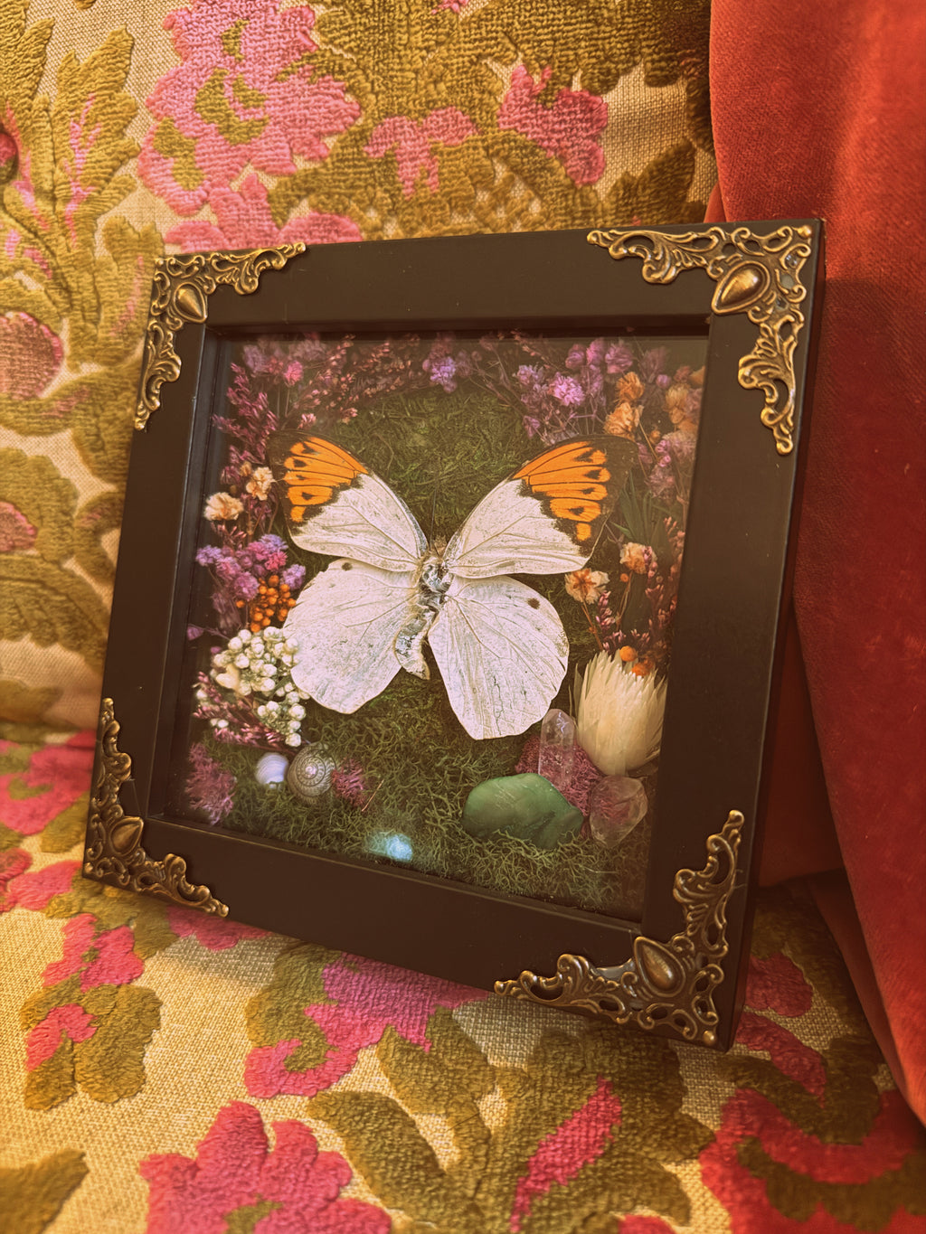 “The Enchanted Orange Tip” Shadow Box