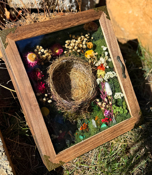 "Sanctuary of the Songbird" Shadowbox