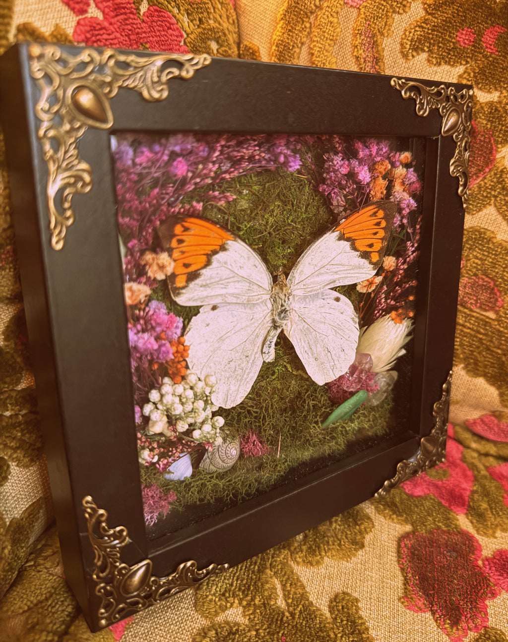 “The Enchanted Orange Tip” Shadow Box
